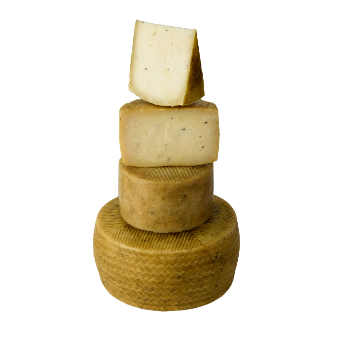 Queso de Oveja Curado con Trufa Negra